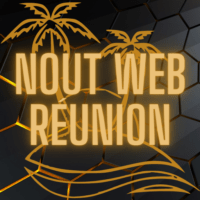 Logo Nout Web Réunion